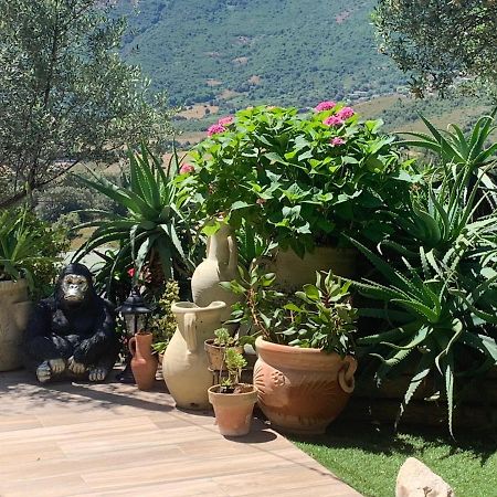 Residence Paradisu Ajaccio Appietto Zewnętrze zdjęcie