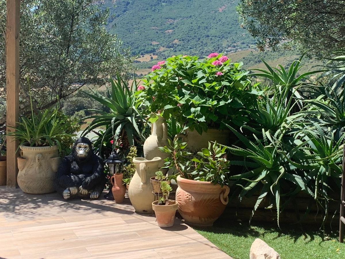 Residence Paradisu Ajaccio Appietto Zewnętrze zdjęcie