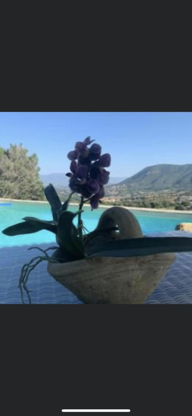 Residence Paradisu Ajaccio Appietto Zewnętrze zdjęcie