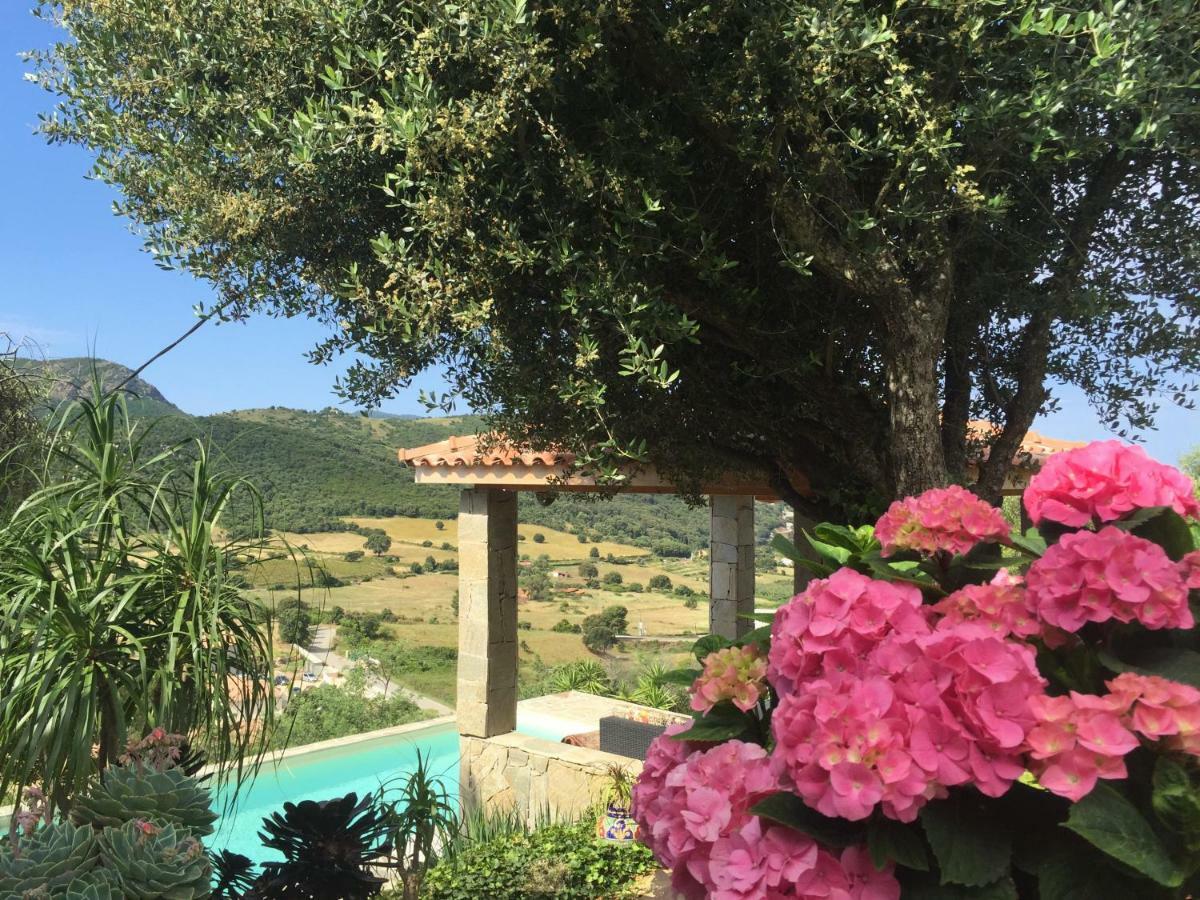 Residence Paradisu Ajaccio Appietto Zewnętrze zdjęcie