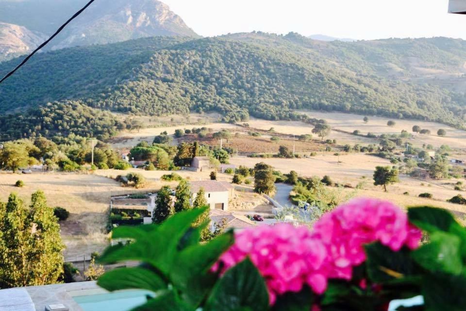 Residence Paradisu Ajaccio Appietto Zewnętrze zdjęcie