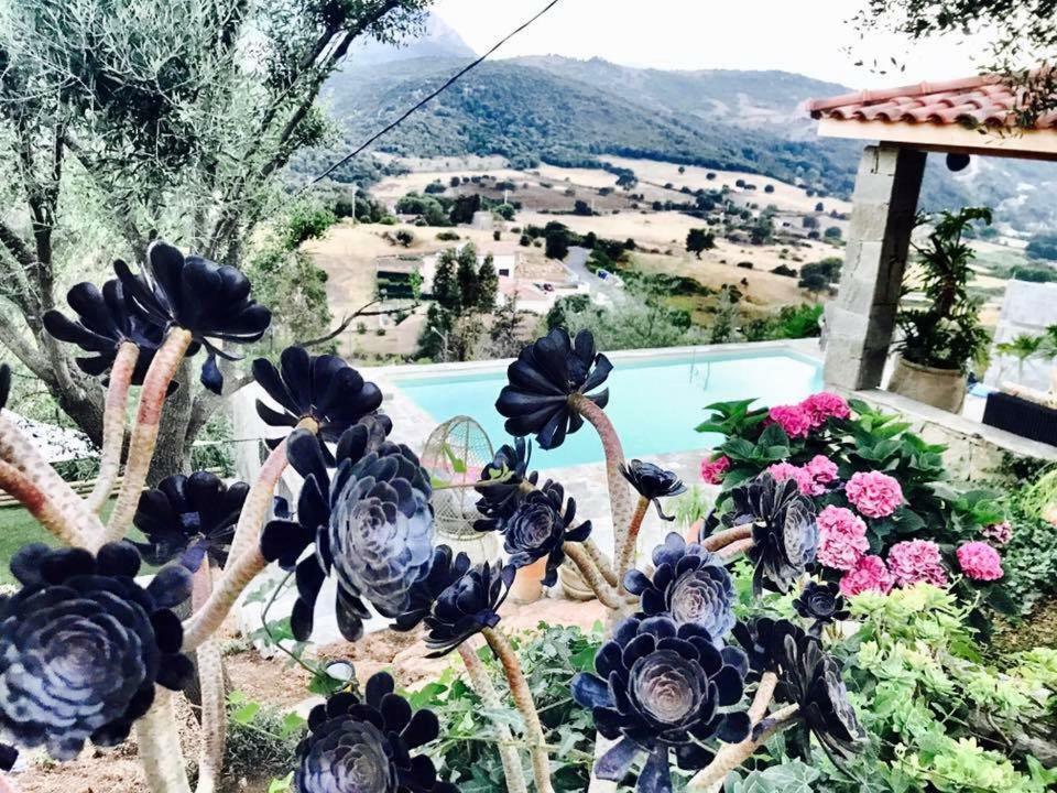 Residence Paradisu Ajaccio Appietto Zewnętrze zdjęcie