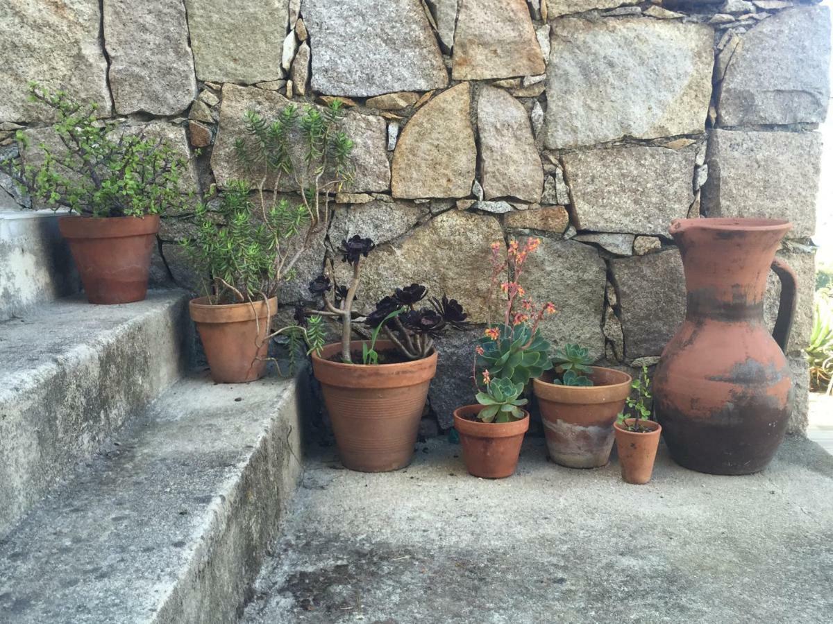 Residence Paradisu Ajaccio Appietto Zewnętrze zdjęcie